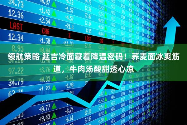 领航策略 延吉冷面藏着降温密码！荞麦面冰爽筋道，牛肉汤酸甜透心凉