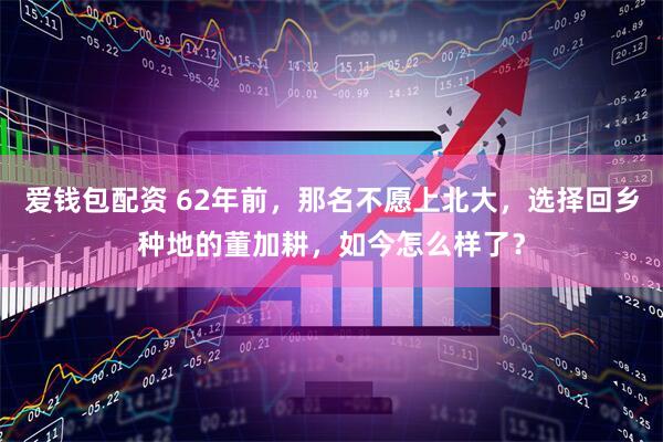 爱钱包配资 62年前，那名不愿上北大，选择回乡种地的董加耕，如今怎么样了？