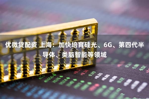 优微贷配资 上海：加快培育硅光、6G、第四代半导体、类脑智能等领域