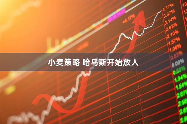 小麦策略 哈马斯开始放人