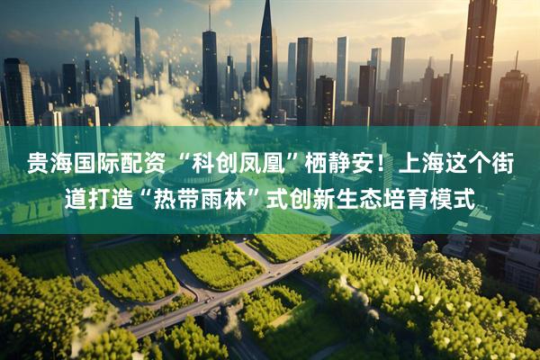 贵海国际配资 “科创凤凰”栖静安！上海这个街道打造“热带雨林”式创新生态培育模式
