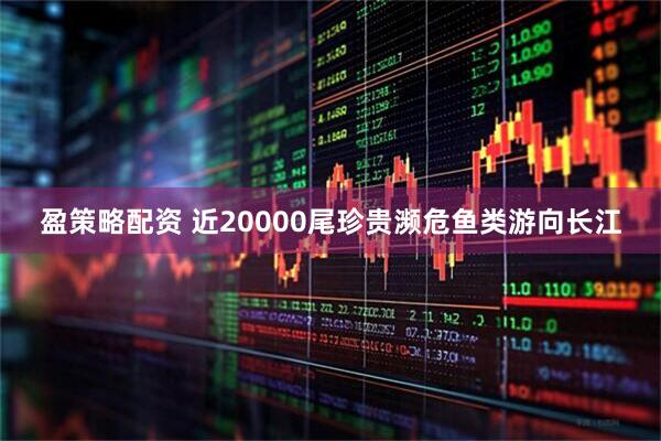 盈策略配资 近20000尾珍贵濒危鱼类游向长江